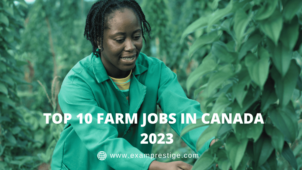 Top 10 Farm Jobs in Canada 2023 (Part 1)